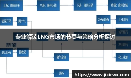 专业解读LNG市场的节奏与策略分析探讨