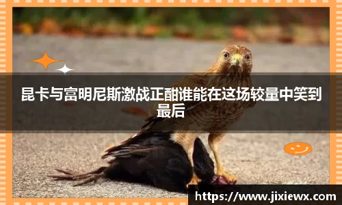昆卡与富明尼斯激战正酣谁能在这场较量中笑到最后